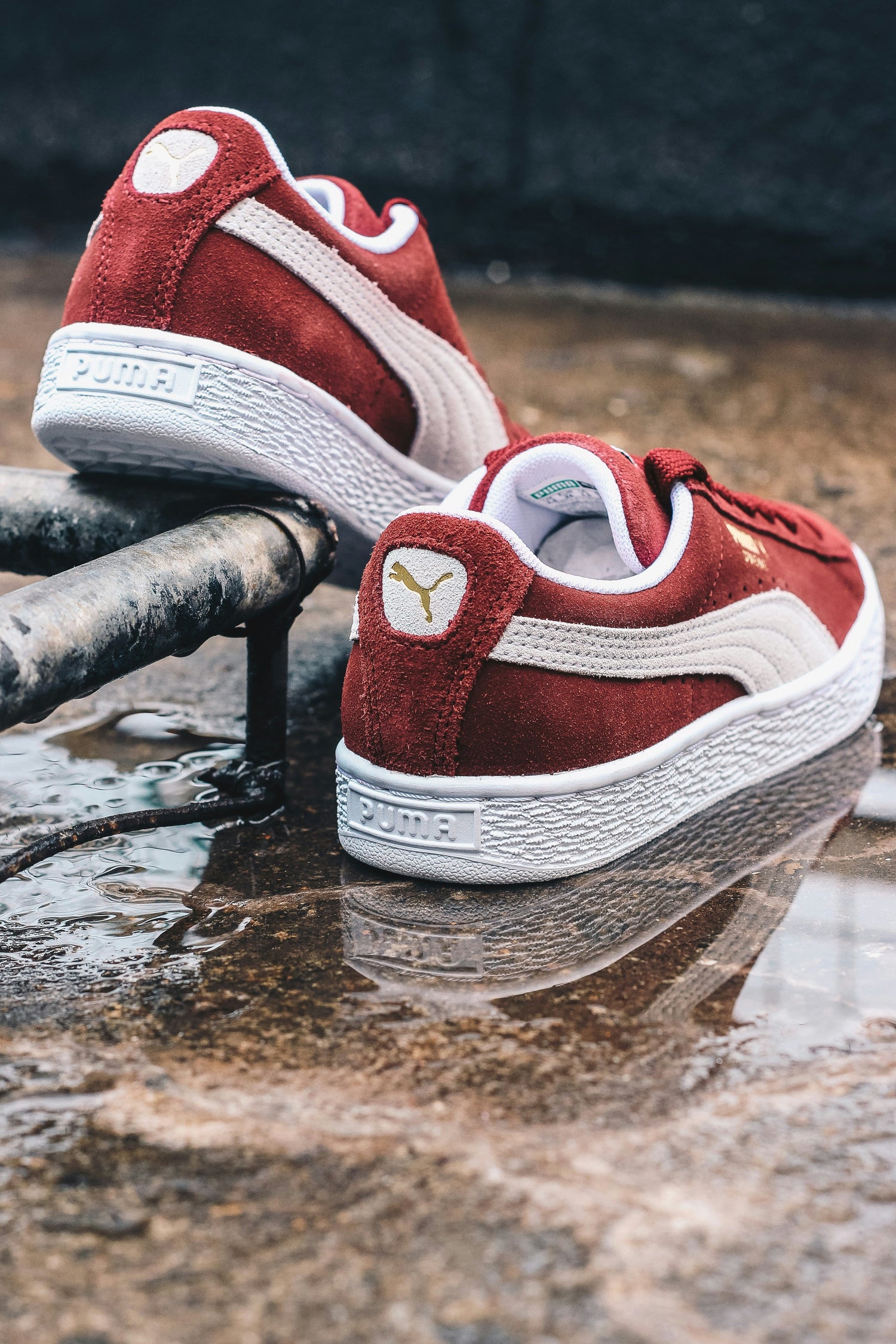 Dites adieu à la saleté avec Doncare, nettoyez vos Puma !
